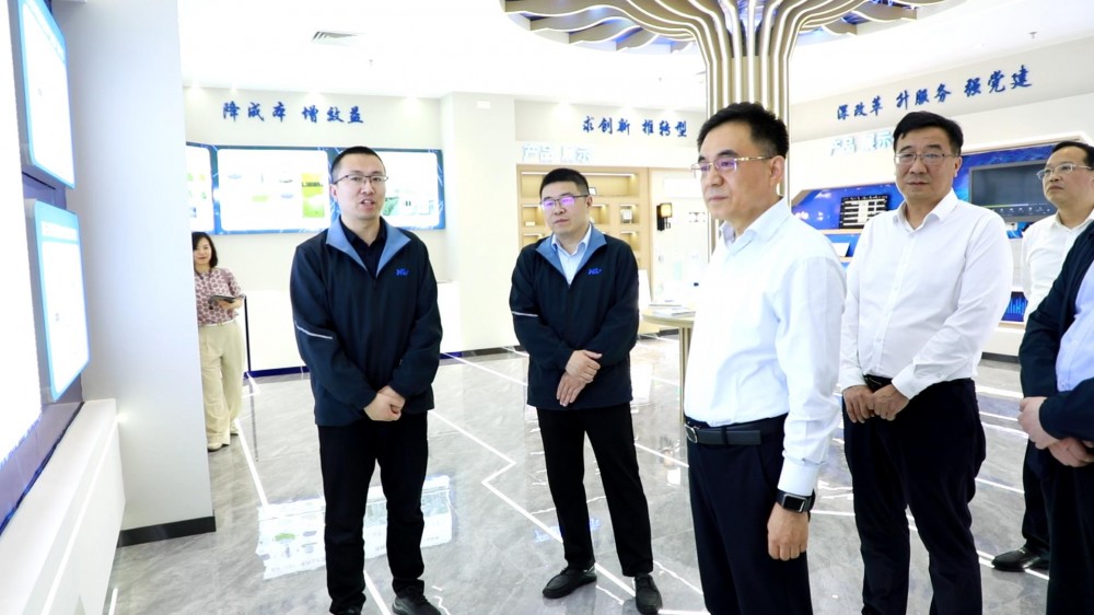 湖南省副省長(zhǎng)王俊壽調(diào)研華磊光電